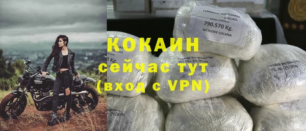 тгк Алзамай